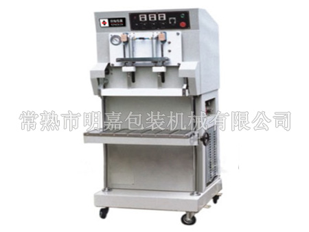VS-600H外抽式真空包装机